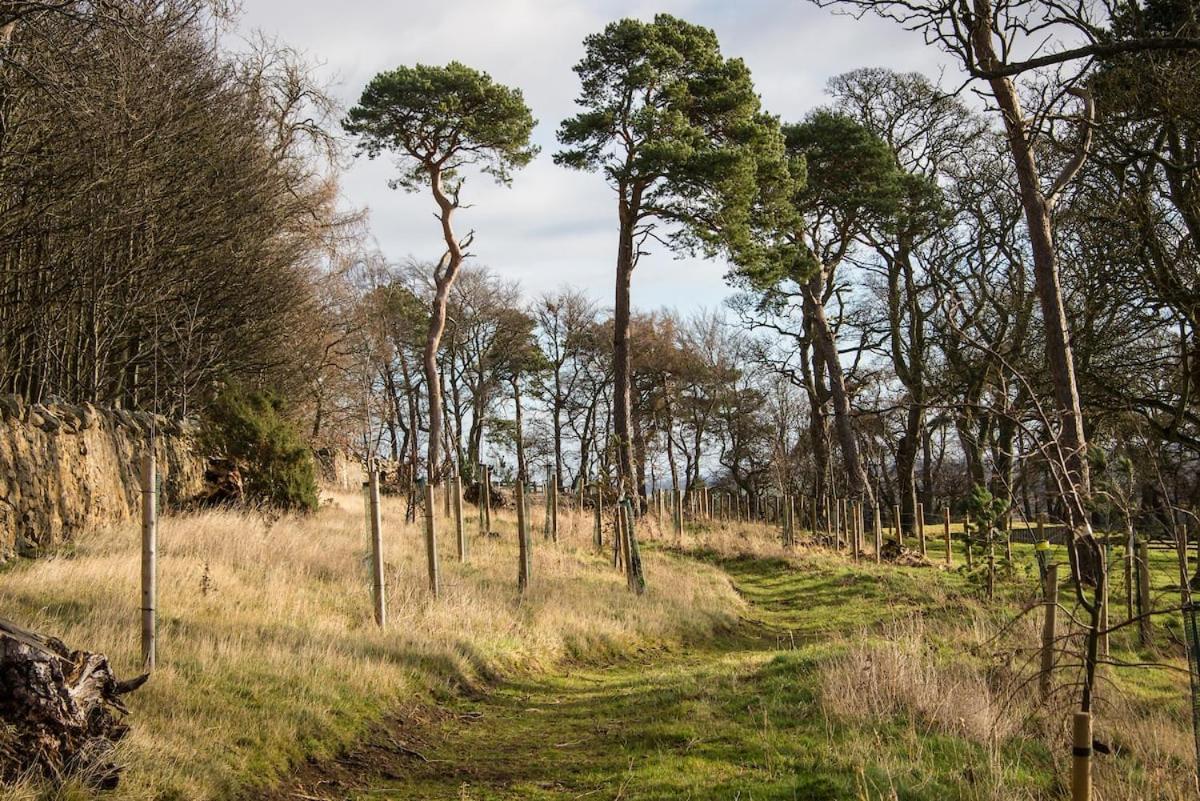 Stunning Stables Cottage In East Lothian Country Estate North Berwick Ngoại thất bức ảnh